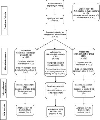 Short term effects of anodal cerebellar vs. anodal cerebral transcranial direct current stimulation in stroke patients, a randomized control trial